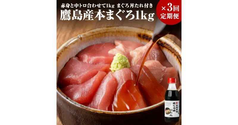 【ふるさと納税】【全3回定期便】鷹島産本まぐろ 赤身と中トロ合わせて1kg　まぐろ丼たれ付き【K32-001】定期便 海鮮 本まぐろ 中トロ 赤身 マグロ 鮪 松浦市