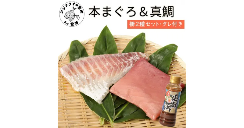 【ふるさと納税】海鮮丼のたれ付！長崎県産本まぐろ＆ハーブ仕立ての真鯛　柵セット2種300g【B2-125】ふるさと納税 まぐろ ふるさと納税 マグロ 鮪 ふるさと納税 たい タイ 鯛 海鮮丼 たれ 海鮮 セット 養殖 刺身 寿司 カルパッチョ お歳暮