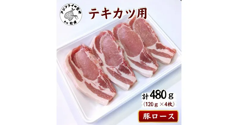 【ふるさと納税】長崎県産豚ロース テキカツ用　120g×4枚【A8-020】 豚 豚肉 豚ロース 長崎県産豚 とんかつ ポークソテー お歳暮