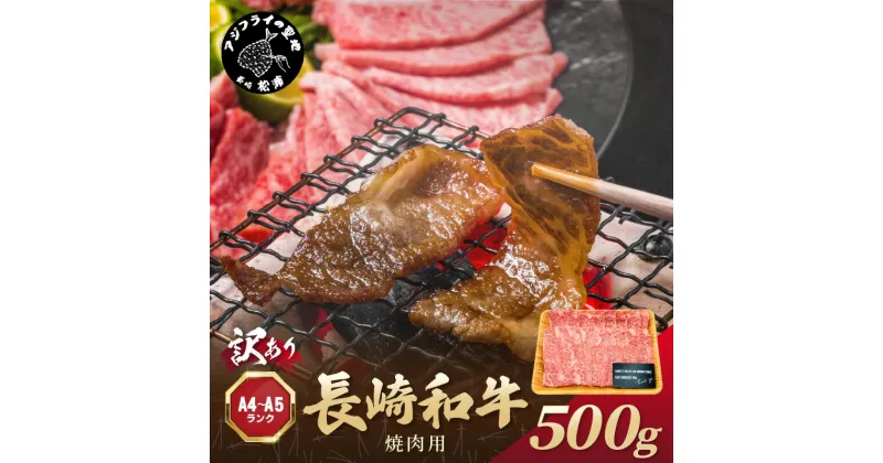 【ふるさと納税】訳あり！【A4～A5】長崎和牛焼肉用 500g【B2-159】 牛肉 牛 和牛 国産 焼肉 おすすめ 赤身 美味しい バーベキュー プレゼント ギフト 送料無料 お取り寄せ