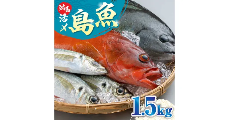 【ふるさと納税】対馬 活〆 島 魚 セット 1.5kg《対馬市》【対馬地域商社】九州 長崎 鮮魚 ボックス [WAC005] 13000 13000円