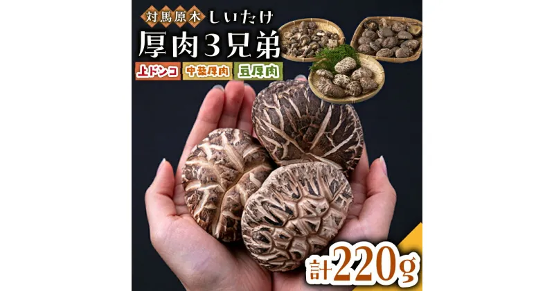 【ふるさと納税】平成28年度長崎県農林水産大臣賞生産者対馬原木しいたけ厚肉3兄弟 [WBJ001] 12000 12000円