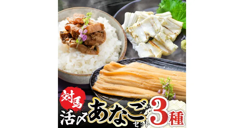 【ふるさと納税】対馬 産 活〆 あなご セット《対馬市》【対馬地域商社】九州 長崎 煮あなご 佃煮 アナゴ [WAC001] 13000 13000円