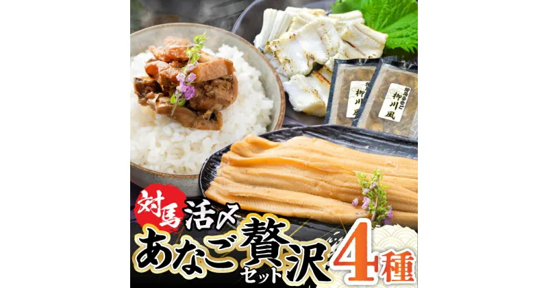 【ふるさと納税】対馬産 あなご 贅沢 セット 《対馬市》【対馬地域商社】九州 長崎 煮あなご 佃煮 アナゴ [WAC002] 20000 20000円