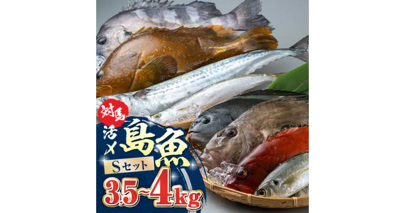 【ふるさと納税】対馬 活〆 島魚セット 3.5〜4kg《対馬市》【対馬地域商社】九州 長崎 鮮魚 [WAC007] 34000 34000円