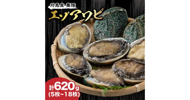 【ふるさと納税】対馬産 養殖 エゾアワビ 620g (5〜18枚)(7.0〜9.5cm)《対馬市》【対馬海洋牧場】 あわび 鮑[WAR002] 22000 22000円