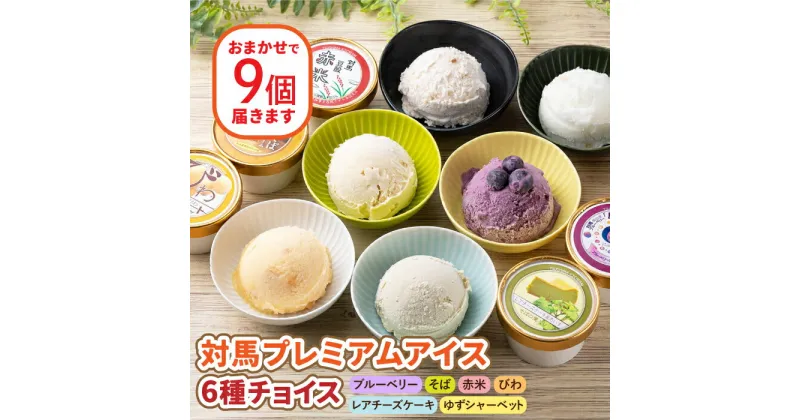 【ふるさと納税】対馬 プレミアム アイス 6種 チョイス《対馬市》【特定非営利活動法人 對馬次世代協議会（対馬コノソレ）】九州 長崎 スイーツ [WAM004] 11000 11000円