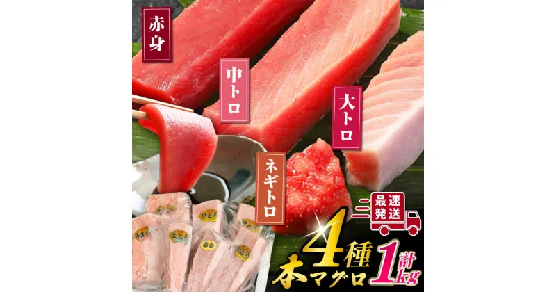 【ふるさと納税】対馬産 本マグロ 4種 計1kg ( 赤身 / 中トロ / 大トロ / ネギトロ )《対馬市》【対海】 マグロ 鮪 本鮪 [WAH004] 31000 31000円