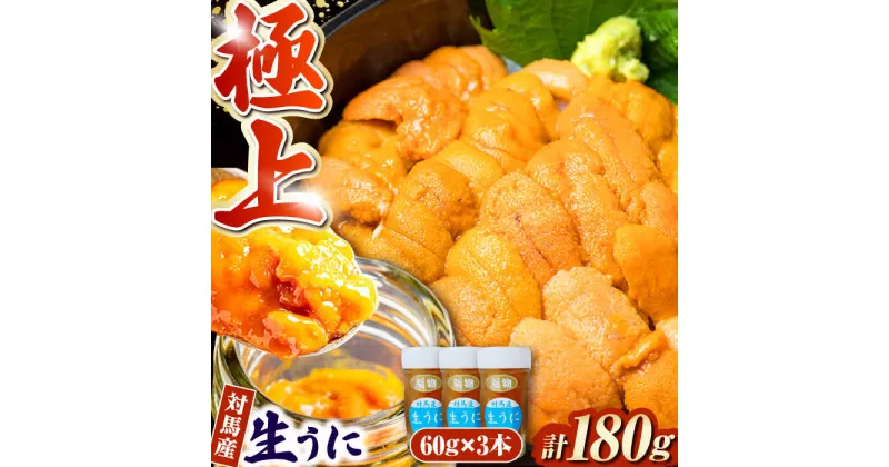 【ふるさと納税】対馬産生うに60g×3本《対馬市》【保家商事】 うに ウニ 雲丹 生ウニ 海鮮 海産物 [WAA009] 36000 36000円