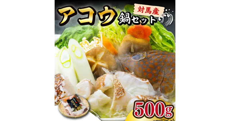 【ふるさと納税】【対馬産】アコウ（キジハタ）鍋セット500g [WAB002] 22000 22000円