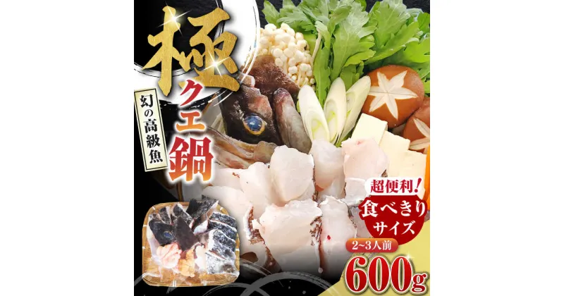 【ふるさと納税】対馬 産 クエ 鍋 セット 600g （2〜3人前）《対馬市》【対馬地域商社】九州 長崎 海鮮 [WAC014] 14000 14000円