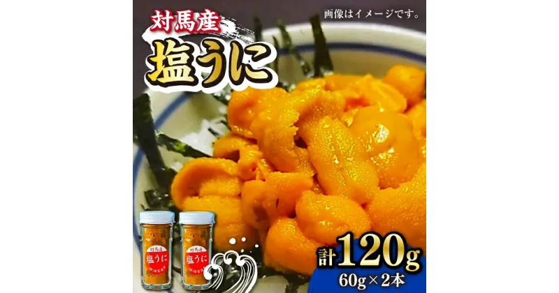 【ふるさと納税】対馬産 塩うに 60g×2本《対馬市》【保家商事】 うに ウニ 雲丹 塩ウニ 海鮮 海産物 [WAA018] 30000 30000円