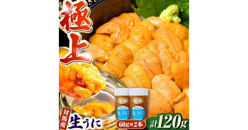 【ふるさと納税】対馬産 生うに 60g×2本《対馬市》【保家商事】 うに ウニ 雲丹 生ウニ 海鮮 海産物 [WAA017] 25000 25000円