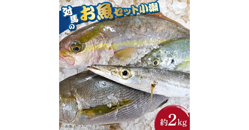 【ふるさと納税】対馬 のお 魚 (小潮) 2kg 《対馬市》【ゆうなぎ対馬】 鮮魚 新鮮 海鮮 イカ サザエ アジ クエ ヒラマサ ハタ[WAG002] 17000 17000円