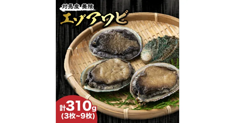 【ふるさと納税】対馬産 養殖 エゾアワビ 310g （3〜9枚）（7.0〜9.5cm）《対馬市》【対馬海洋牧場】 あわび 鮑 [WAR001] 13000 13000円