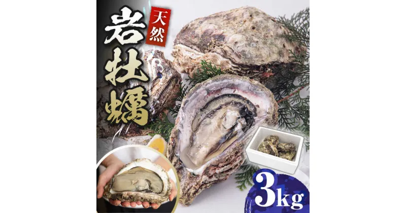 【ふるさと納税】天然 岩ガキ 3kg《対馬市》【海風商事】国産 九州 長崎 牡蠣 [WAD001] 15000 15000円