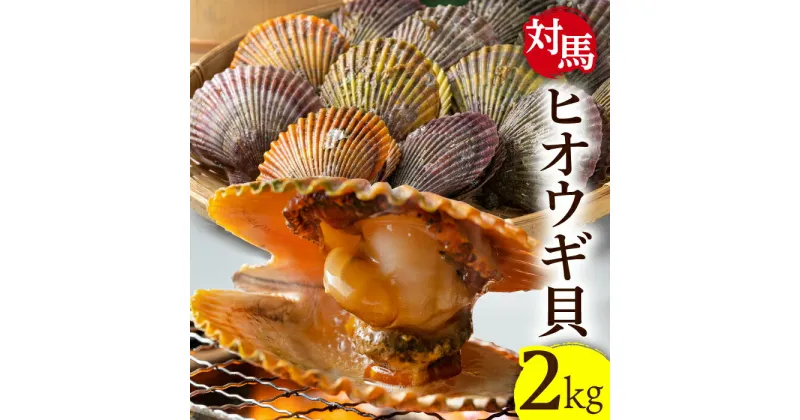 【ふるさと納税】対馬 2枚貝 ヒオウギ 貝 2kg《対馬市》【海風商事】国産 九州 長崎 海鮮 BBQ [WAD002] 14000 14000円