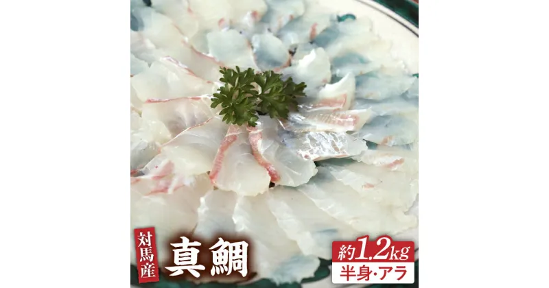 【ふるさと納税】対馬 マダイ 3枚おろし 約1.2kg《対馬市》【海風商事】国産 長崎 九州 刺身 [WAD005] 24000 24000円