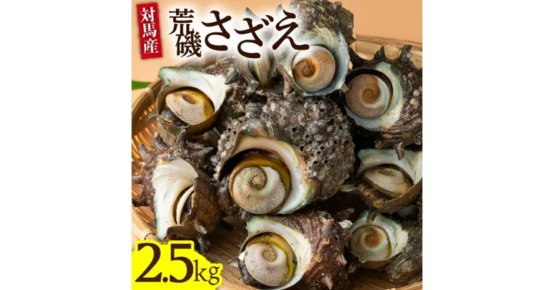 【ふるさと納税】荒磯 さざえ 2.5 kg《対馬市》【海風商事】天然 サザエ 国産 九州 長崎 海鮮 BBQ [WAD006] 21000 21000円