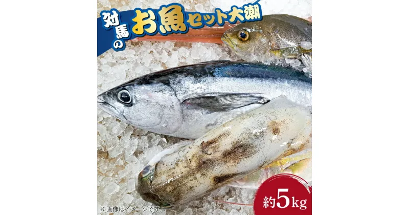 【ふるさと納税】対馬 のお 魚 （大潮） 5kg 《対馬市》【ゆうなぎ対馬】鮮魚 新鮮 海鮮 イカ サザエ ヒラマサ ブリ 真鯛 クエ 冷蔵 [WAG003] 26000 26000円