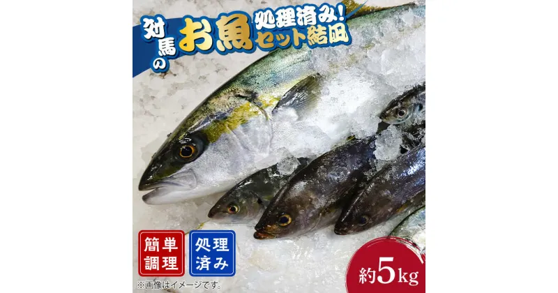 【ふるさと納税】対馬 のお 魚 （結凪ユウナギ） 5kg《対馬市》【ゆうなぎ対馬】処理済み 鮮魚 新鮮 海鮮 イカ サザエ ヒラマサ ブリ 真鯛 クエ 冷蔵 [WAG004] 30000 30000円