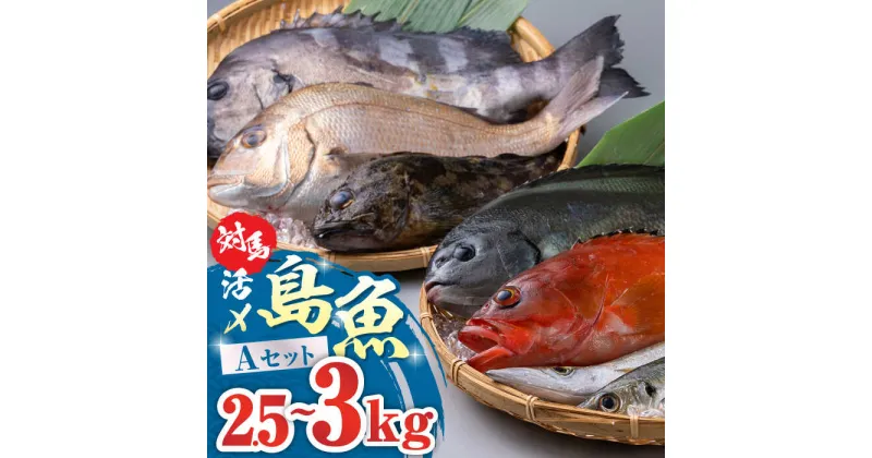 【ふるさと納税】対馬 活〆 島魚セット 2.5〜3kg《対馬市》【対馬地域商社】九州 長崎 鮮魚 [WAC004] 25000 25000円