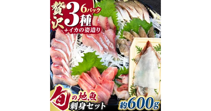 【ふるさと納税】対馬 イカ 姿造り と 刺身 の セット 約600g【真心水産】《対馬市》新鮮 海鮮 いか 冷凍 刺身 ケンサキイカ 島魚 海鮮丼 手巻き寿司[WAK011] 13000 13000円