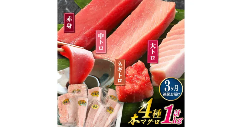 【ふるさと納税】【全3回定期便】対馬産 本マグロ 4種 計1kg ( 赤身 / 中トロ / 大トロ / ネギトロ ）《対馬市》【対海】 新鮮 マグロ 鮪 本鮪 赤身 中トロ 大トロ ネギトロ 海鮮 冷凍[WAH006] 93000 93000円