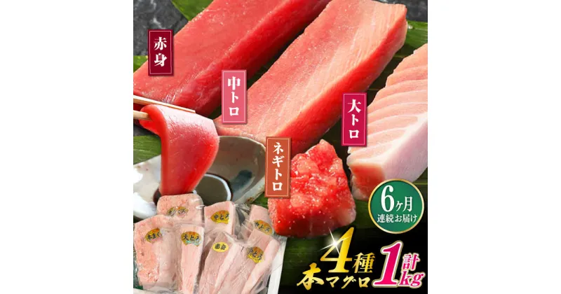 【ふるさと納税】【全6回定期便】対馬産 本マグロ 4種 計1kg ( 赤身 / 中トロ / 大トロ / ネギトロ ）《対馬市》【対海】 新鮮 マグロ 鮪 本鮪 赤身 中トロ 大トロ ネギトロ 海鮮 冷凍[WAH007] 186000 186000円