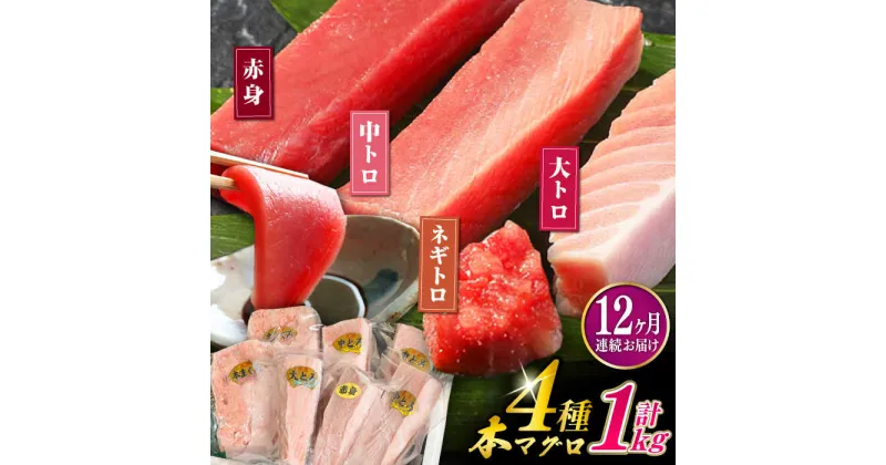 【ふるさと納税】【全12回定期便】対馬産 本マグロ 4種 計1kg ( 赤身 / 中トロ / 大トロ / ネギトロ ）《対馬市》【対海】 新鮮 マグロ 鮪 本鮪 赤身 中トロ 大トロ ネギトロ 海鮮 冷凍[WAH008] 372000 372000円