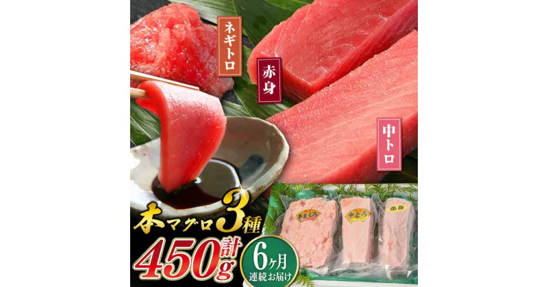 【ふるさと納税】【全6回定期便】対馬産 本マグロ 3種 計450g （ 赤身 / 中トロ / ネギトロ ）《対馬市》【対海】 新鮮 マグロ 鮪 本鮪 赤身 中トロ 大トロ ねぎとろ 海鮮 冷凍[WAH013] 102000 102000円