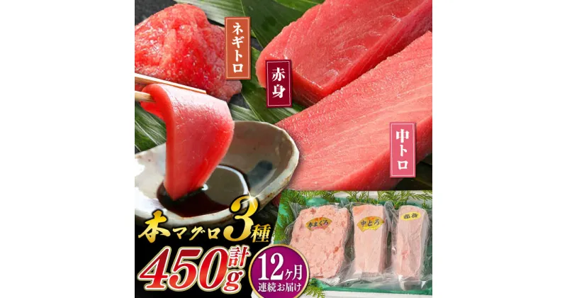 【ふるさと納税】【全12回定期便】対馬産 本マグロ 3種 計450g （ 赤身 / 中トロ / ネギトロ ）《対馬市》【対海】 新鮮 マグロ 鮪 本鮪 赤身 中トロ 大トロ ねぎとろ 海鮮 冷凍[WAH014] 203000 203000円