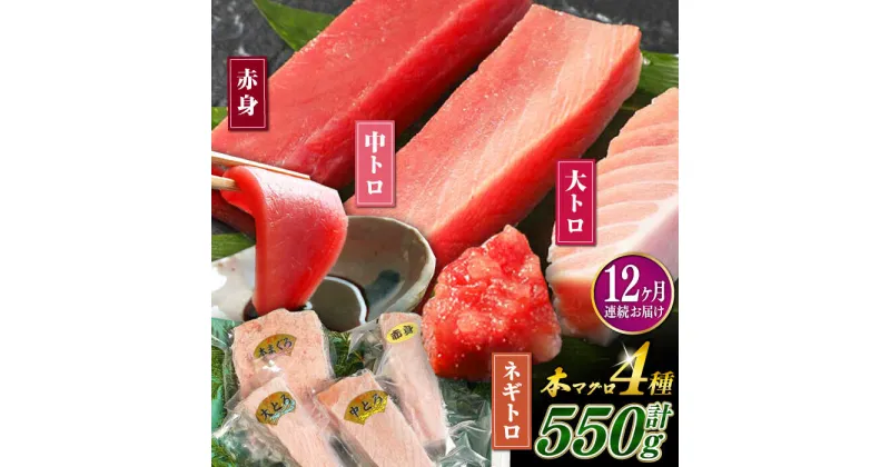 【ふるさと納税】【全12回定期便】対馬産 本マグロ 4種 計550g ( 赤身 / 中トロ / 大トロ / ネギトロ )《対馬市》【対海】 新鮮 マグロ 鮪 本鮪 赤身 中トロ 大トロ ねぎとろ 海鮮 冷凍[WAH017] 259000 259000円