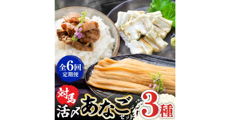 【ふるさと納税】【全6回定期便】対馬 産 活〆 あなご セット《対馬市》【対馬地域商社】九州 長崎 煮あなご 佃煮 アナゴ[WAC019] 74000 74000円