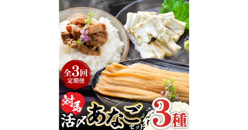 【ふるさと納税】【全3回定期便】対馬 産 活〆 あなご セット《対馬市》【対馬地域商社】九州 長崎 煮あなご 佃煮 アナゴ[WAC018] 37000 37000円