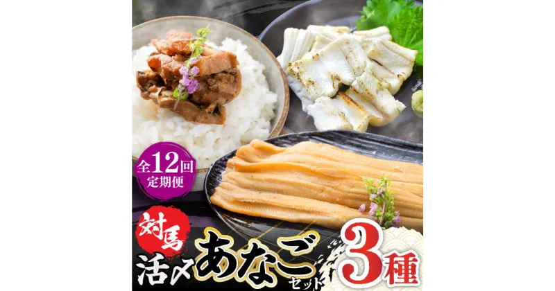 【ふるさと納税】【全12回定期便】対馬 産 活〆 あなご セット《対馬市》【対馬地域商社】九州 長崎 煮あなご 佃煮 アナゴ[WAC020] 147000 147000円