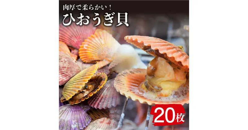 【ふるさと納税】ひおうぎ貝 20枚 《 対馬市 》【 うえはら株式会社 】 新鮮 肉厚 海産物 対馬産 貝 BBQ 冷凍 疲労回復 特産品 ビタミン[WAI085] 13000 13000円