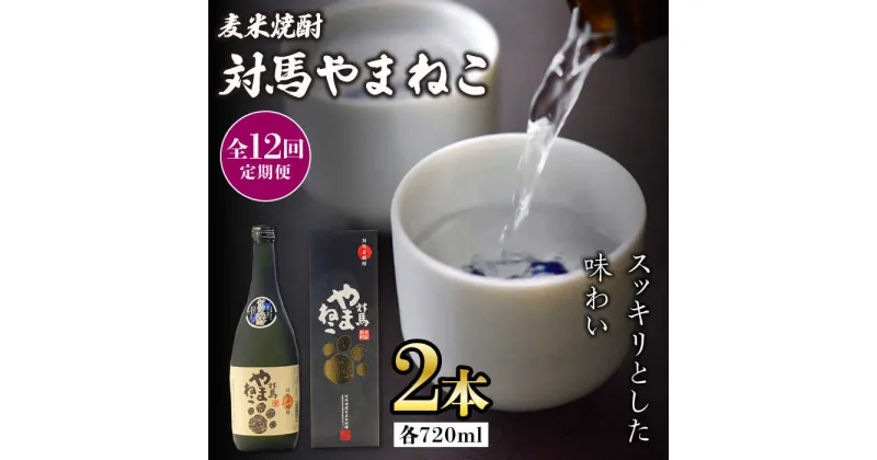 【ふるさと納税】【全12回定期便】麦米焼酎 対馬やまねこ 25度 720ml 2本セット《対馬市》【株式会社サイキ】対馬 酒 贈り物 米焼酎 プレゼント 焼酎[WAX024] 173000 173000円