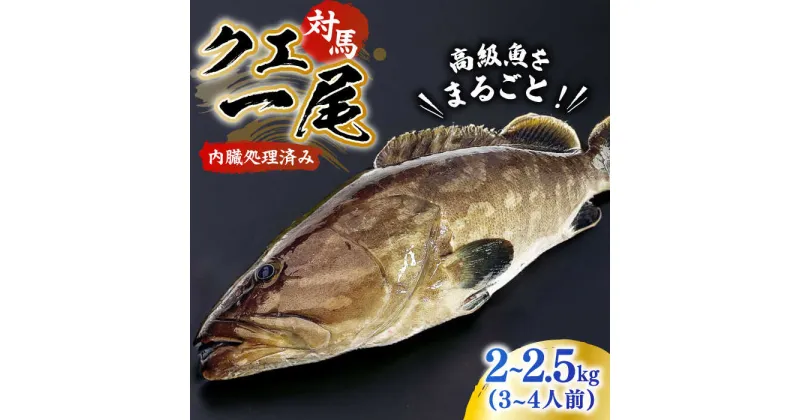 【ふるさと納税】対馬産クエ 丸ごと1匹！《対馬市》【エムズスタイル】クエ 1匹 直送 新鮮 マルモン 刺身 しゃぶしゃぶ 鍋 くえ アラ 高級魚 お祝い プレゼント 還暦[WCN001] 54000 54000円