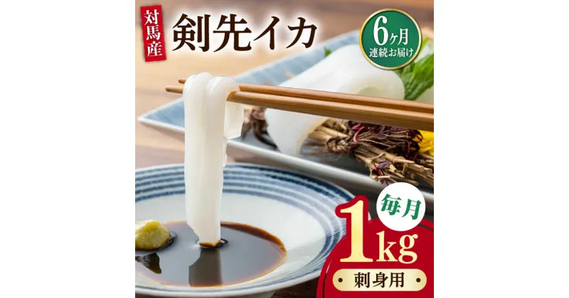 【ふるさと納税】【全6回定期便】剣先 イカ 刺身 セット 1kg《対馬市》【海風商事】あかいか まるいか 九州 長崎 対馬 刺身 冷凍 ギフト 海鮮 魚介 魚介類[WAD047] 116000 116000円