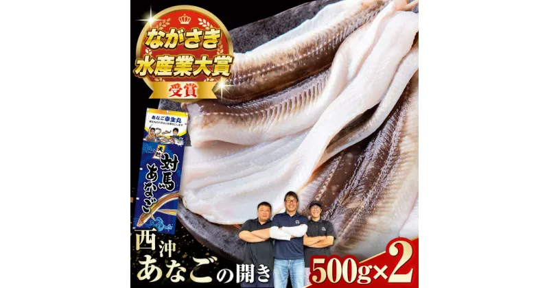 【ふるさと納税】対馬産 天然あなごの開き500g×2《対馬市》【すし処慎一】国産 肉厚 穴子 アナゴ 新鮮 冷凍 白焼き 天ぷら 揚げ物 贈り物[WCO002] 16000 16000円