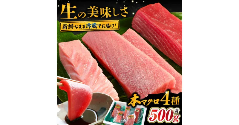 【ふるさと納税】対馬産 生 本マグロ 500g （赤身、中トロ、大トロ）《対馬市》【対海】 中トロ 大トロ まぐろ マグロ 鮪[WAH025] 30000 30000円