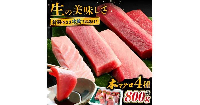 【ふるさと納税】対馬産 生 本マグロ 800g （赤身、中トロ、大トロ）《対馬市》　【対海】 中トロ 大トロ まぐろ マグロ 鮪[WAH026] 45000 45000円