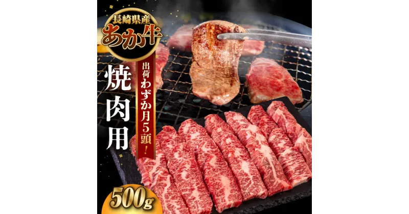 【ふるさと納税】長崎和牛 あか牛 焼肉用 500g《対馬市》【株式会社Tsukushi】 対馬 牛 和牛 焼肉 冷凍配送[WCR005] 17000 17000円