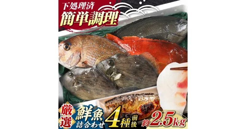 【ふるさと納税】【期間限定！】対馬産 鮮魚 詰め合わせ 4種前後 2.5kg《対馬市》【対海】新鮮 天然 直送 冷蔵 セット[WAH021] 16000 16000円