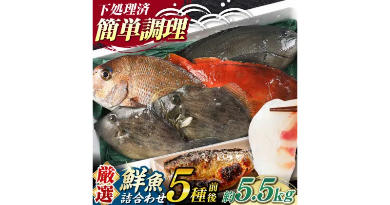 【ふるさと納税】【期間限定！】対馬産 鮮魚 詰め合わせ 5種前後 5.5kg《対馬市》【対海】新鮮 天然 直送 冷蔵 セット[WAH023] 37000 37000円