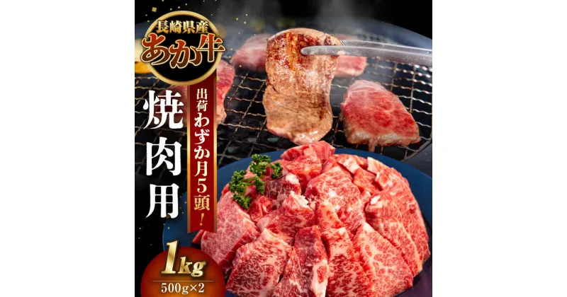 【ふるさと納税】長崎和牛 あか牛 焼肉用 1kg (500g×2)《対馬市》【株式会社Tsukushi】 対馬 牛 和牛 焼肉 冷凍配送[WCR004] 28000 28000円