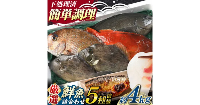 【ふるさと納税】【期間限定！】対馬産 鮮魚 詰め合わせ 5種前後 4.0kg《対馬市》【対海】新鮮 天然 直送 冷蔵 セット[WAH022] 29000 29000円