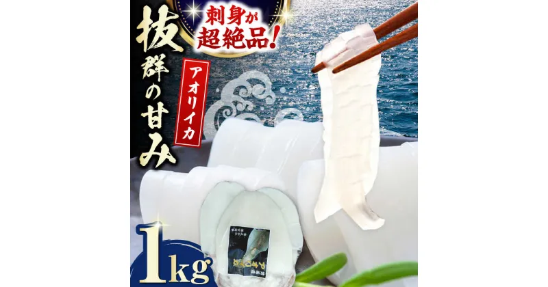 【ふるさと納税】対馬産 アオリイカ 1kg《対馬市》【保家商事】烏賊 いか 刺身 海鮮 冷凍[WAA029] 19000 19000円