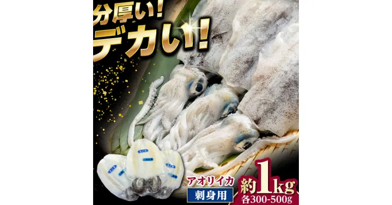 【ふるさと納税】イカの王様！ アオリイカ 刺身用 約1kg（2～3枚入） 《対馬市》【対馬新鮮組】 高級 肉厚 水いか 新鮮 海鮮 冷凍配送[WCS004]